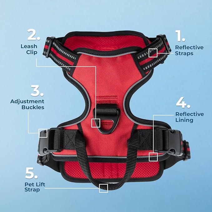 No Pull Dog Harness for Large Dogs, Dual Leash Attachments, Adjustable Soft but Strong Pet Harness with 3M Reflective Technology, Red Lattice Nylon, L (Chest: 25-30")