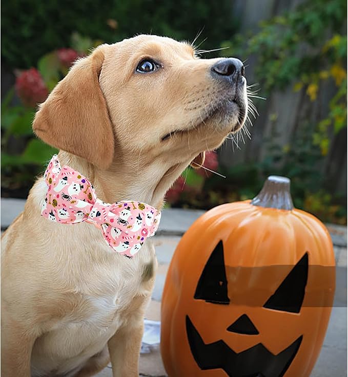 Lionheart Glory Halloween Dog Collar Bowtie - Heavy Duty Adjustable Fall Holiday Collar for Medium Dogs - Bow for Female or Male Pets - Gift