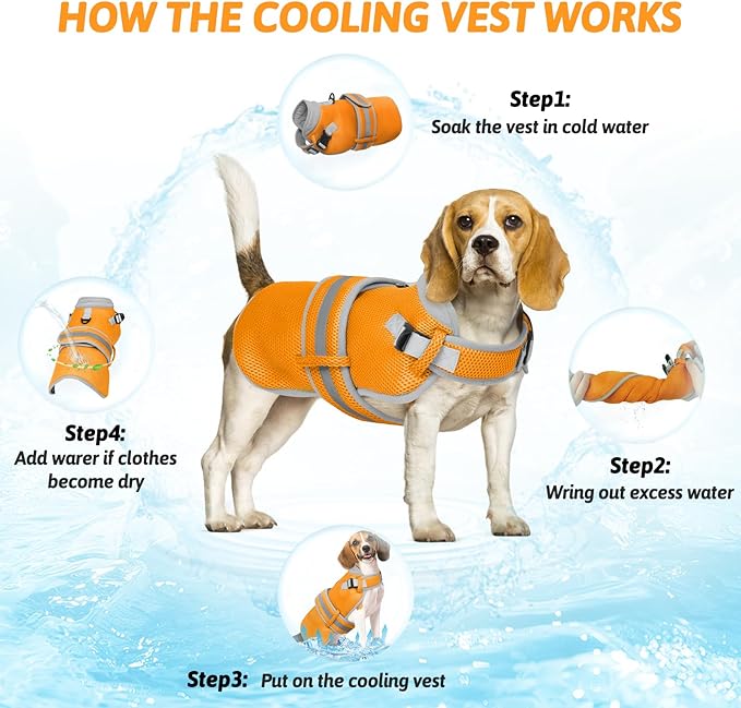 Dog Cooling Vest for Medium Dogs,Lightweight Cooling Dog Jacket,Breathable Mesh Dogs Shirt Harness Vest with Adjustable Straps Reflective Stripe for Hot Weather with D-Ring for Beach,Hiking,M
