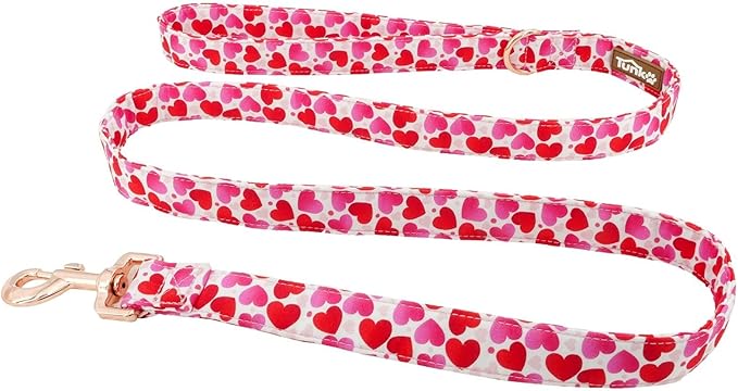 Tunkoo Valentine's Day Dog Leash with Metal Buckle - Durable, Stylish, and Perfectly Sized for Fall Season Daily Walking L
