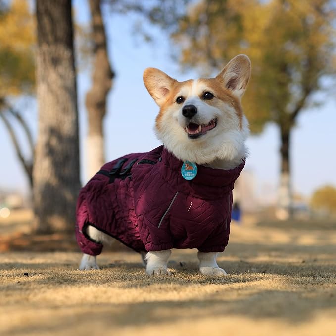 Lovelonglong Warm Dog Coat Double Layers Dog Vest, 4 Legs Covered Windproof Waterproof Reflective Warm Dog Vest Outdoor Skating Dog Costume for Corgis Dachshund Dog Purple D-M