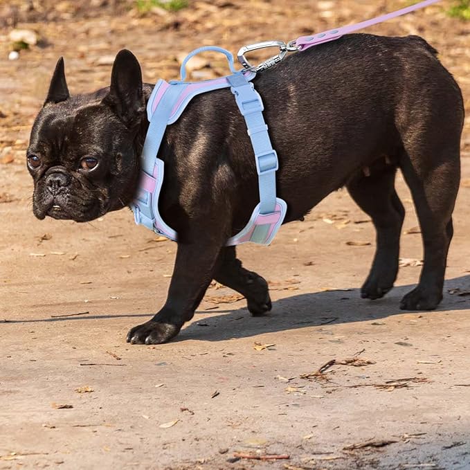 No Pull Dog Harness Adjustable Soft Padded Pet Vest with Control Handle Adorable Daily Harness for Dogs（Sweet Lilac XS）