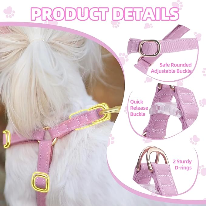 PUPTECK Dog Harness and Leash Set Small Sized, Step-in Cute Puppy Harness, Soft Lightweight Padded Vest, Escape Proof No Pull Pet Harnesses Easy for Walking, Purple, M