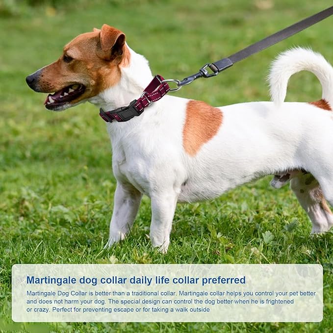 Reflective Martingale Dog Collars. Dog Collar with Quick Release Buckle. Adjustable Soft Padded Breathable Nylon Pet Collar Suitable for Puppies for Small Medium Large Dogs.