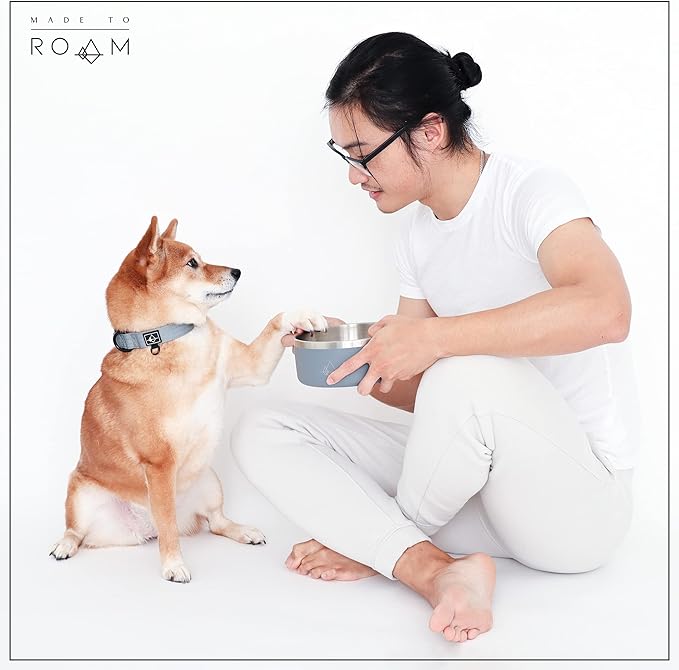 Made to ROAM Premium Dog Collar - Adjustable Heavy Duty Nylon Collar with Quick-Release Metal Buckle (Oregon Haze, Classic Size 3.5, Old Roam Logo)