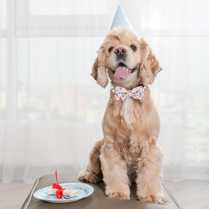 ADOGGYGO Birthday Dog Collar with Bowtie, Pet Birthday Collar with Detachable Bow, Adjustable Bowtie Collars for Small Medium Large Dogs (Small)