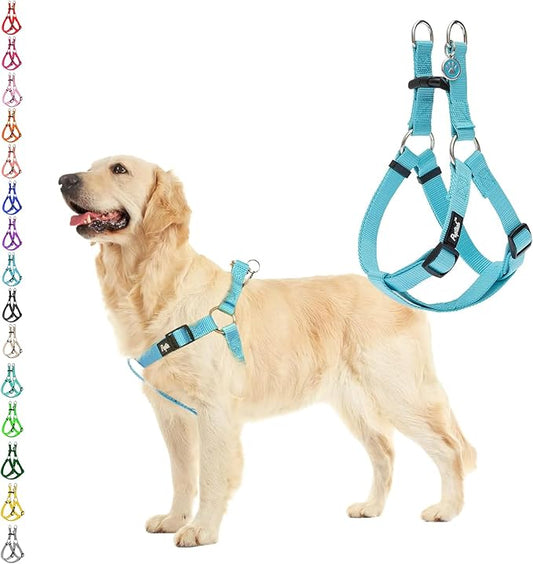 PUPTECK No Pull Dog Harness Soft Adjustable Basic Nylon Step in Puppy Vest Outdoor Walking with ID Tag SkyBlue