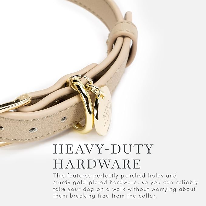 Cupertino Dog Collars, Harnesses & Leashes Made from Vegan Leather with Dog Tracker Device Holder Adjustable Dog Collar (Small, Beige)