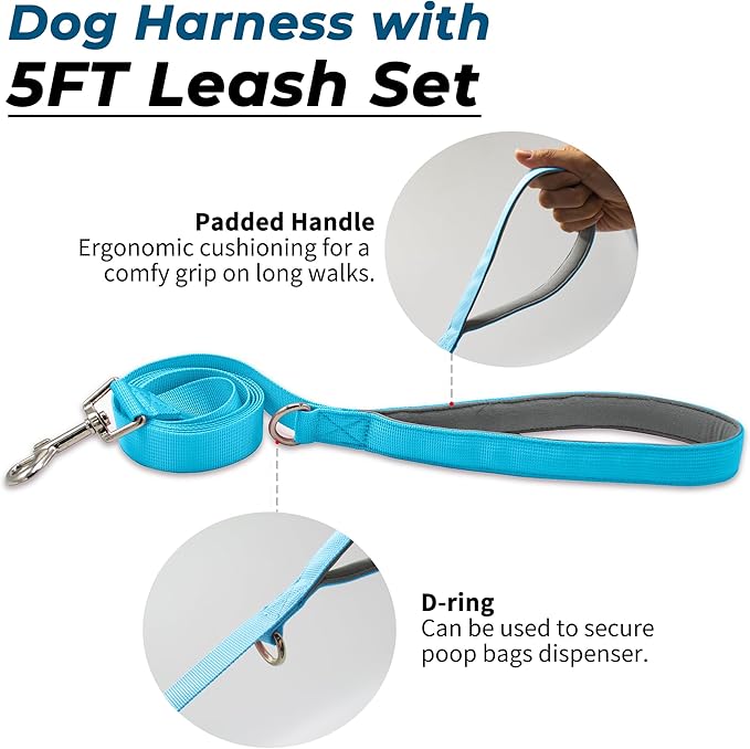 Escape Proof Dog Harness and Leash Set, Lightweight Dog Harness with Lift and Assist Handle, No Pull Reflective Pet Vest for Small Medium Dogs, Ideal for Puppy Walking and Training (Blue, M)