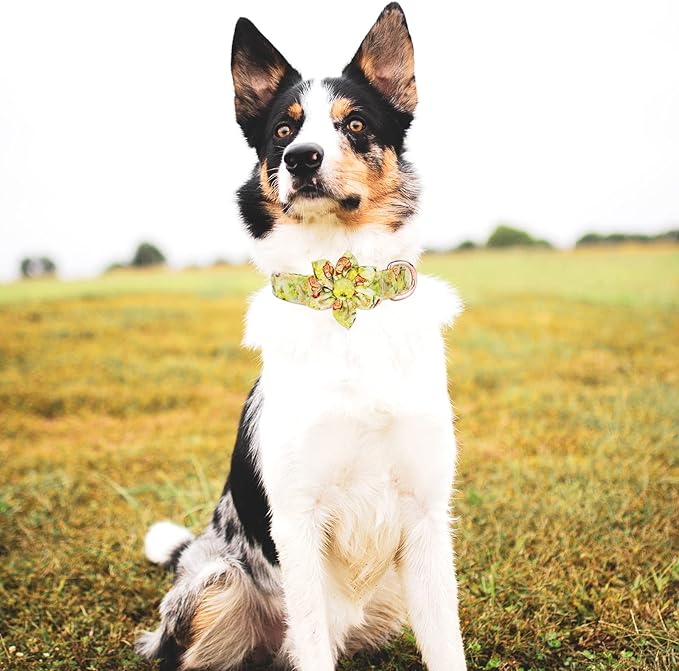 Dog Collar and Leash Set Girls Adjustable Puppy Collars with Floral Bow Tie for Small Medium Large Female Dogs, Yellow Rose, M