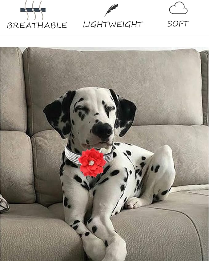 Dog Collar - Red Rhinestone for Small/Medium Dogs, Girls & Puppies - Summer/Spring Wedding Collar (Rose Red, XS)