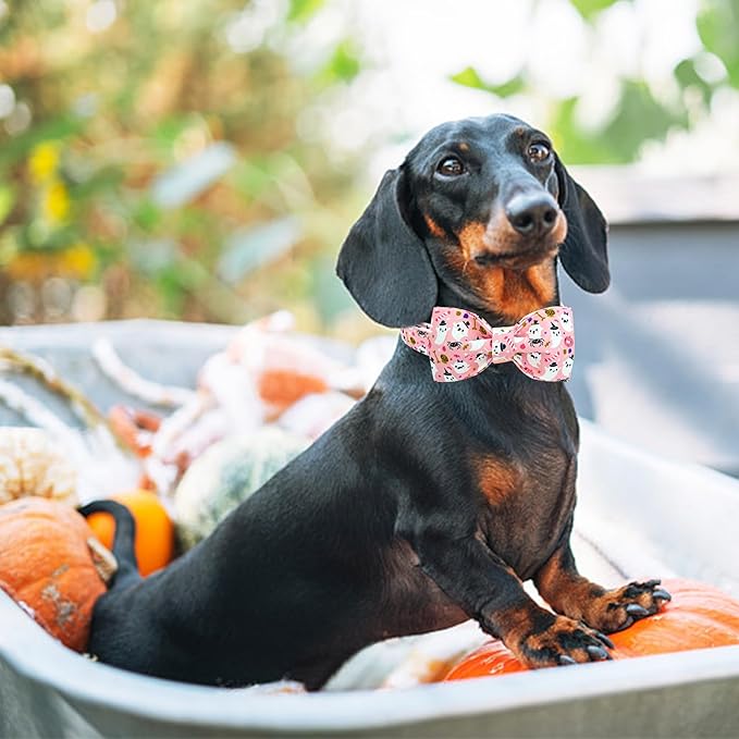Lionheart Glory Halloween Dog Collar Bowtie - Heavy Duty Adjustable Fall Holiday Collar for Medium Dogs - Bow for Female or Male Pets - Gift