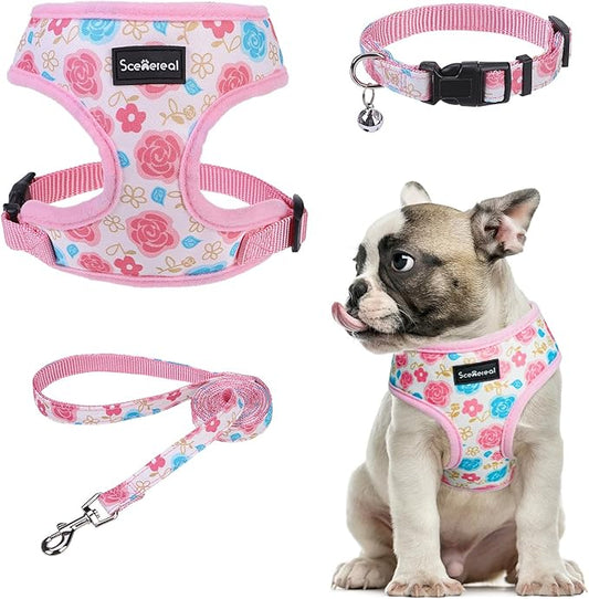 SCENEREAL Small Dog Harness Collar and Leash Set, Adjustable No Pull Pet Harnesses, No Chock Soft Mesh Step in Vest for Doggie Puppy Medium Dogs Cats Girl or Boy,Chihuahua, Yorkie, Outdoor Walking