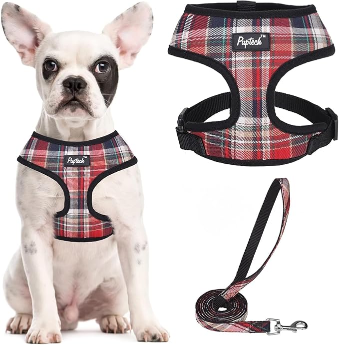 PUPTECK Soft Mesh Dog Harness and Leash Set Pet Puppy Cat Comfort Padded Vest No Pull Harnesses, Red Mixed, L