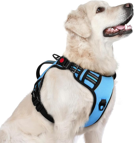 rabbitgoo Dog Harness for Large Dogs, No Pull Pet Harness with Soft Padded Handle, Adjustable Reflective Vest with 3 Buckles, Easy Walking Harness with 2 Leash Clips, Light Blue, L
