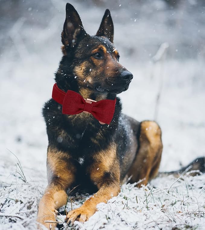 DOGWONG Cotton Dog Collar with Bow Red Pet Collar Durable Adjustable Puppy Collar Christmas Dog Collar for Small Medium Large Dogs