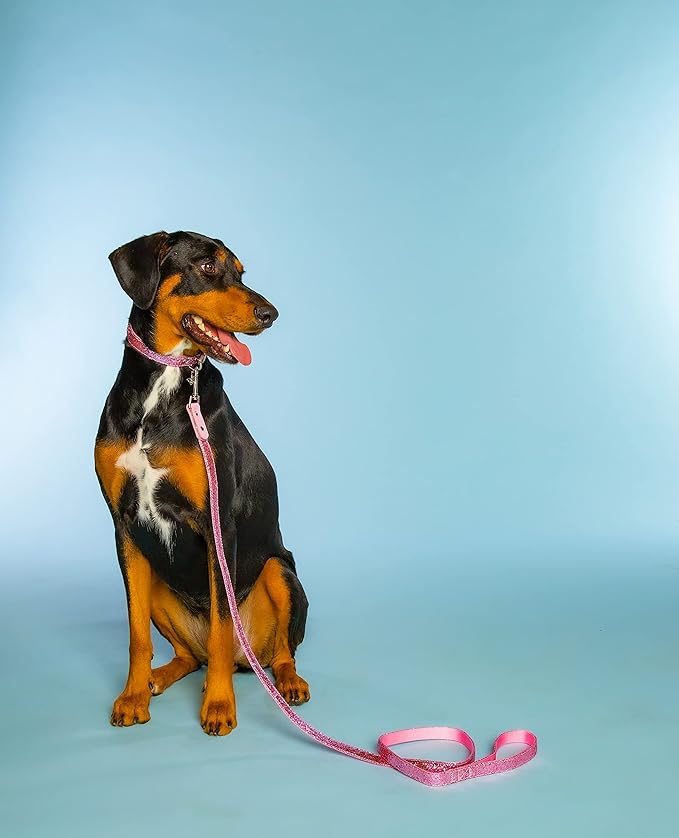 Dolly Doggy Parton Dog Harnesses and Leash/Collar Set Collection, Pink Dolly's Pretty Little Set, X-Small