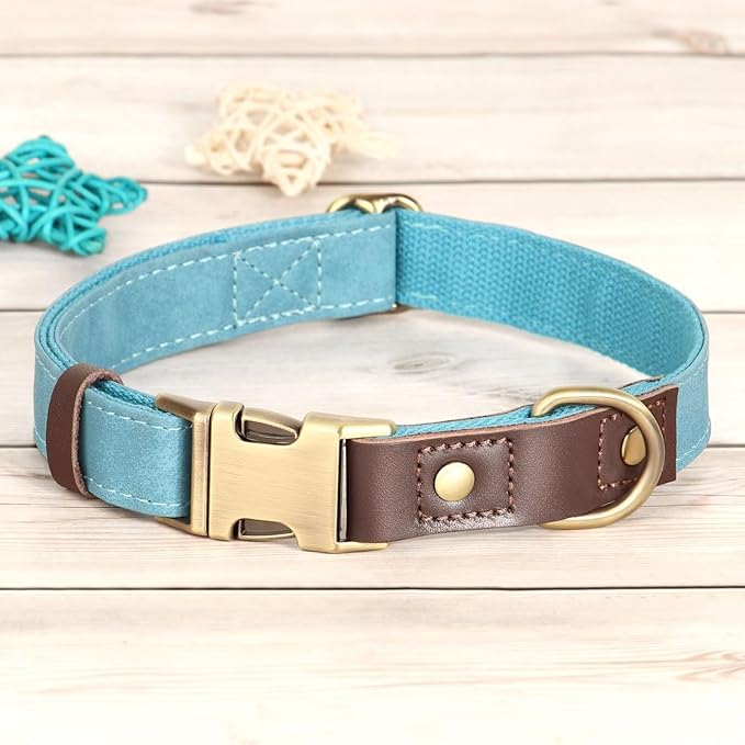 Didog Soft Padded Leather Dog Collars for Small Dogs, Classic Heavy Duty Dog Collar with Quick Release Metal Buckle, Adjustable Small Dog Collar Leather,Light Blue,S Neck 10-15"