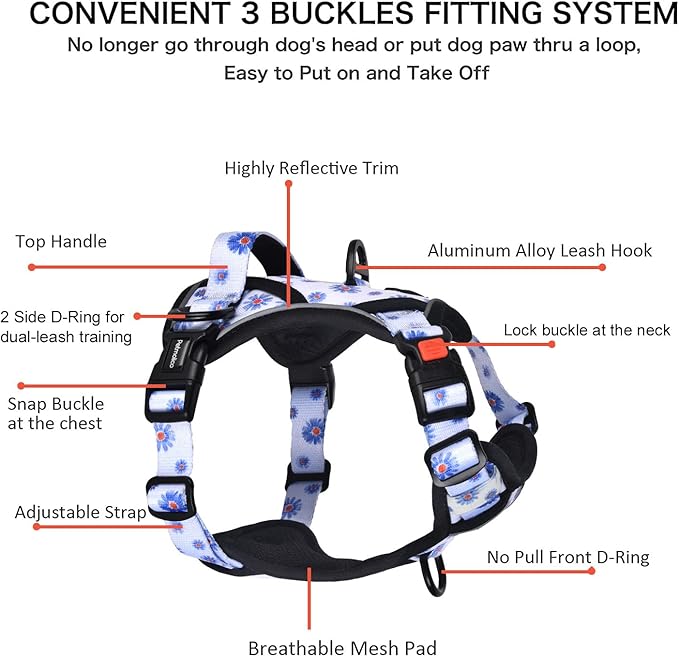 Petmolico No Pull Dog Harness and Leash Set, No Choke 2 Leash Attchments Easy Control Handle Soft Padded Reflective Vest Dog Harness for Small Dog Breed, Daisy Small