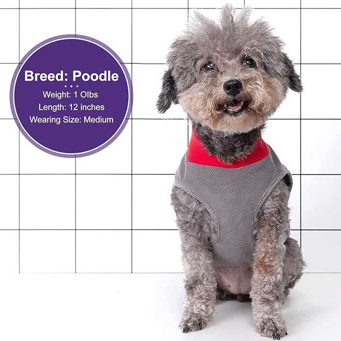 Cyeollo 2 Pack Stretchy Fleece Dog Sweaters with Leash Hole - Pullover Sweatshirts for Small Puppy Dogs & Cats - Size S