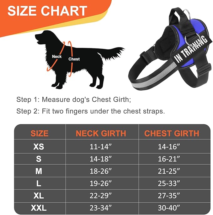Essential Dog Harness, No Pull Pet Harness with 3 Side Rings for Leash Placement, No Choke, Reflective, Adjustable Pet Vest, Easy On-Off & Improved Control Handle, Training, Walking, Running Blue