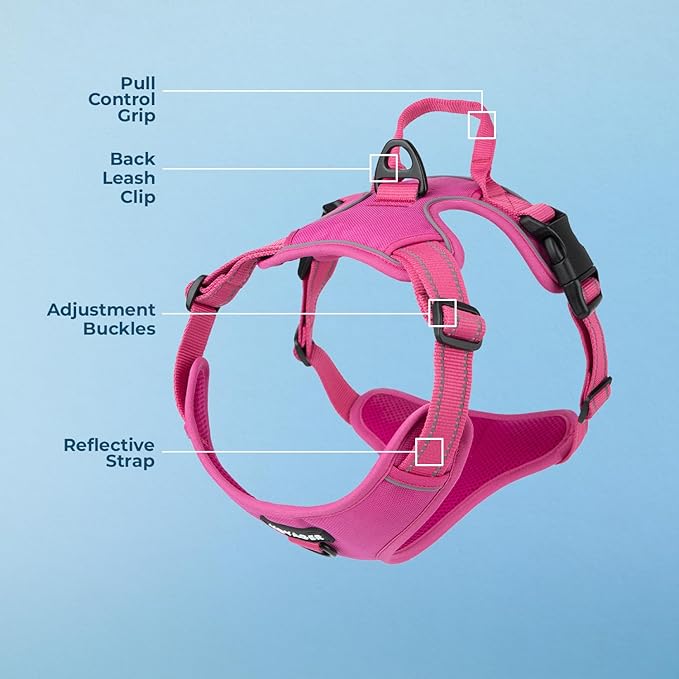 No Pull Dog Harness for Large Dogs, Dual Leash Attachments, Adjustable Soft but Strong Pet Harness with 3M Reflective Technology, Fuchsia Nylon, XL (Chest: 28-37")