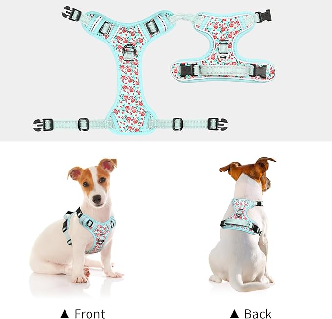 Timos Dog Harness, No-Pull Pet Harness with 2 Leash Clips, Adjustable Soft Padded Dog Vest, Reflective Outdoor Pet Oxford Vest with Easy Control Handle,Cyan,XS