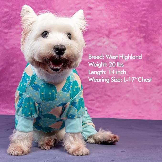 KYEESE Dog Pajamas Soft Dogs Clothes Pet Coat Velvet Dog Pajamas Small Sized Dogs Comfy Doggie Jammies Onesie Stretchy Doggie Pjs Pet Costume with Cactus Pattern, Small
