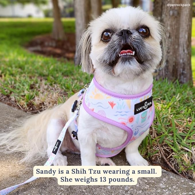 Lucy & Co. Cute Reversible Dog Harness Walking Halter - Best Designer Pet Harnesses for XS - XL Dogs - Padded Adjustable Vest for Easy Walking - Large -Pastel Seashells