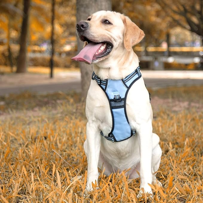PoyPet No Pull Dog Harness, [Release at Neck] Reflective Adjustable No Choke Pet Vest with Front & Back 2 Leash Attachments, Soft Control Training Handle for Small Medium Large Dogs(Light Blue,XS)
