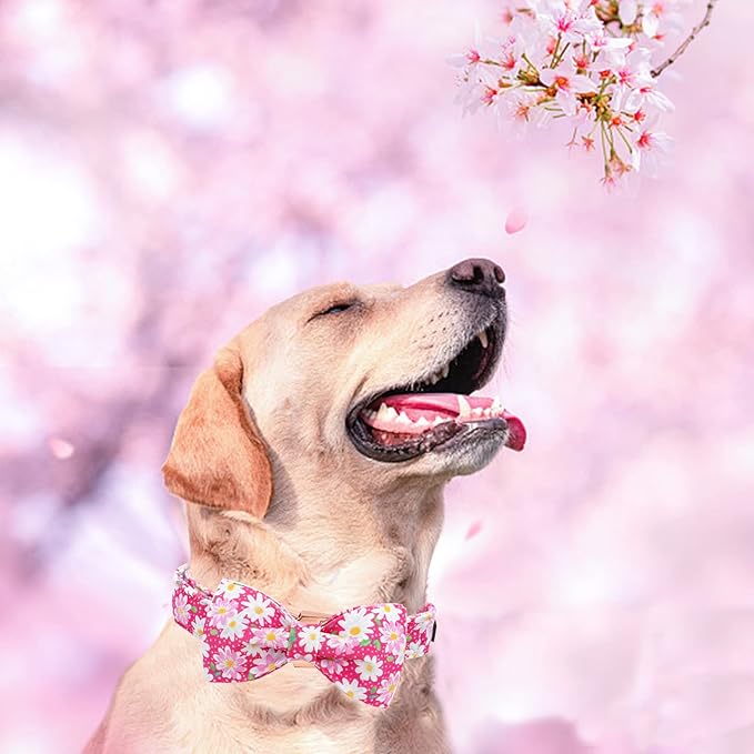 Elegant Little Tail Pink Floral Girl Dog Collar with Bow, Adjustable for Small Dogs