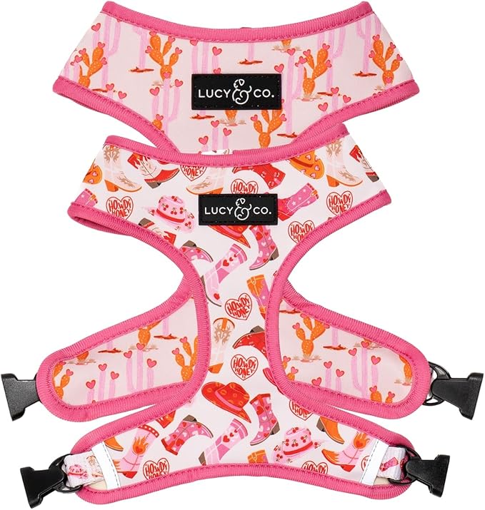 Lucy & Co. Cute Reversible Dog Harness Walking Halter - Best Designer Pet Harnesses for XS - XL Dogs - Padded Adjustable Vest for Easy Walking. (Howdy, Honey Reversible Harness)