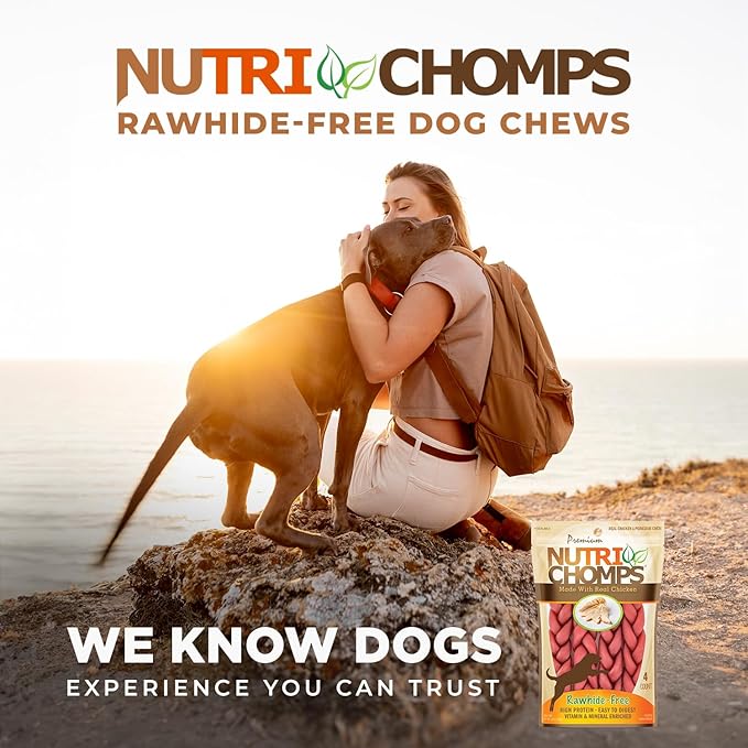 NutriChomps Dog Chews, 6-inch Braids, Easy to Digest, Rawhide-Free Dog Treats, Healthy, 4 Count, Real Chicken flavor