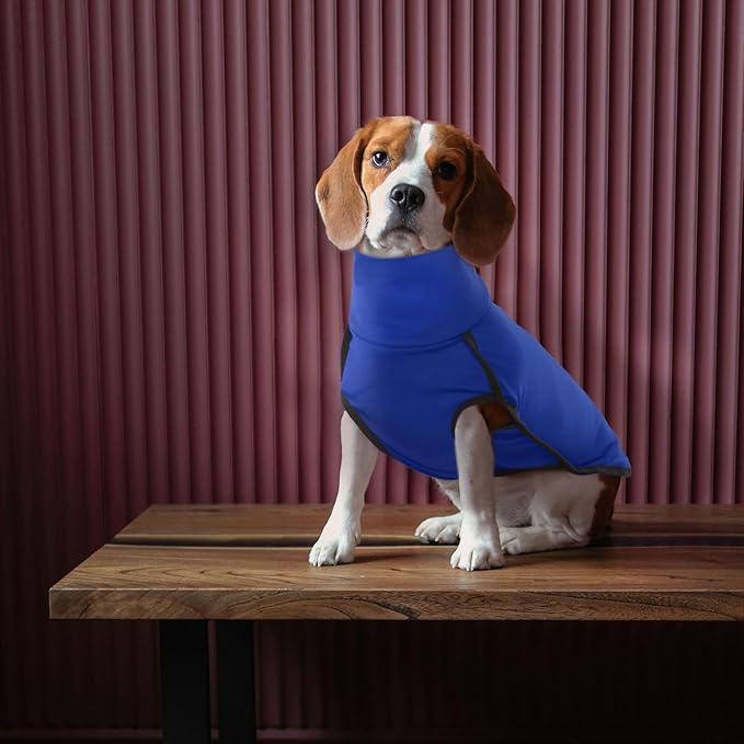 ROZKITCH Dog Winter Coat Soft Pullover Pajamas, Pet Windproof Warm Cold Weather Jacket Vest Cozy Onesie Jumpsuit Apparel Outfit Clothes for Small, Medium, Large Dogs Walking Hiking Travel Sleep Blue