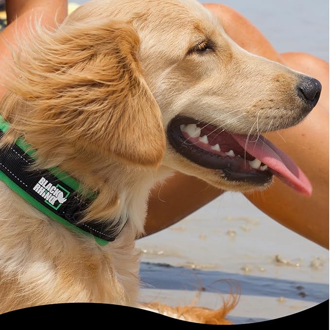 Black Rhino Dog Collars for Small Dogs - Adjustable Reflective Heavy Duty Dog Collar with Ultra-Soft Neoprene Padding - Weatherproof, Durable, and Comfortable for Active Dogs - Green and Black