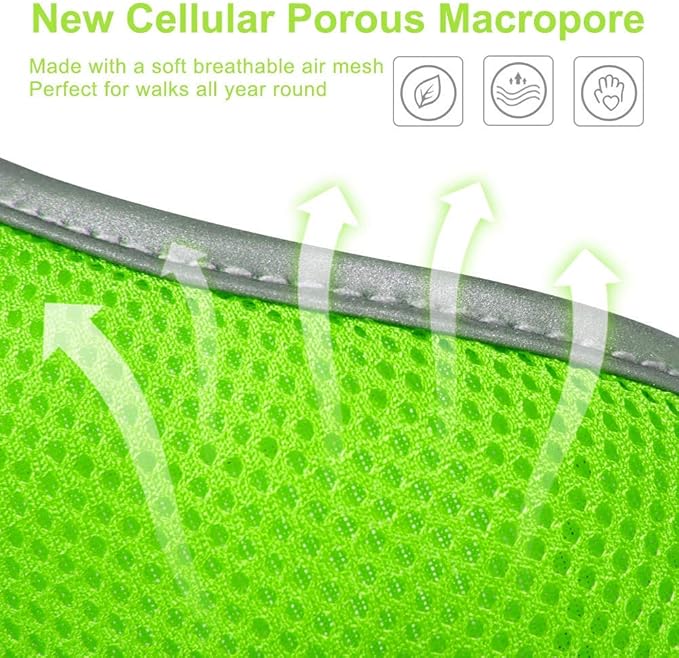 Puppy Harness and Leash Set - Dog Vest Harness for Small Dogs Medium Dogs- Adjustable Reflective Step in Harness for Dogs - Soft Mesh Comfort Fit No Pull No Choke (S, Light Green)