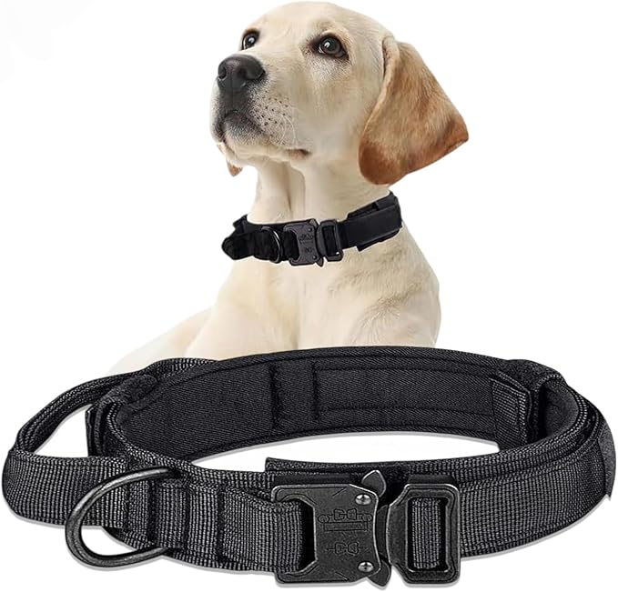 Adjustable Dog Collar - Easy Click Buckle for Small to Medium Dogs - Comfortable Neoprene Padding for Male & Female Dogs, Pet Collar for Puppies & Adult Dogs - Black