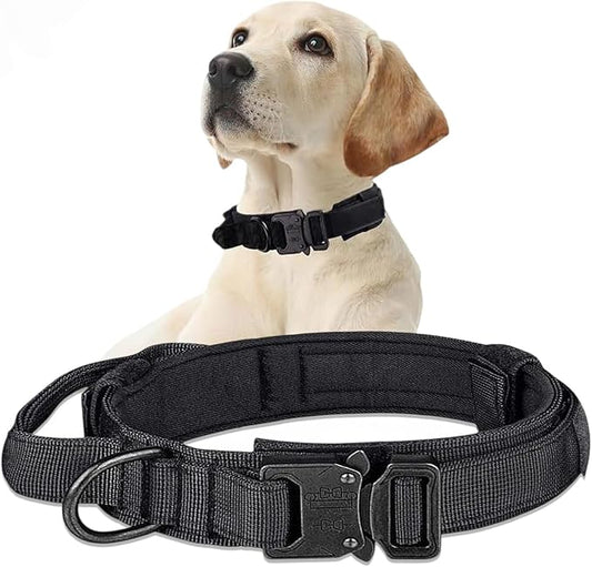 Adjustable Dog Collar - Easy Click Buckle for Small to Medium Dogs - Comfortable Neoprene Padding for Male & Female Dogs, Pet Collar for Puppies & Adult Dogs - Black