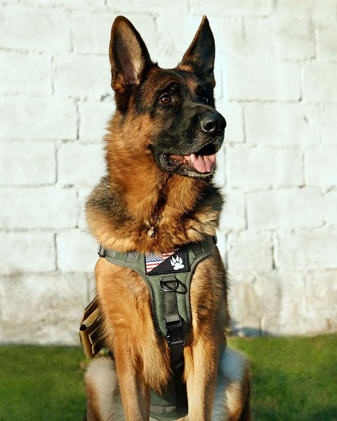 Tactical Dog Harness - PETNANNY Dog Harness Service Dog Vest for Large Breed Dog, Hook and Loop Panel for Service Dog Patchs, Work Dog MOLLE Vest with Handle for Walking Hiking Training(Green,L)