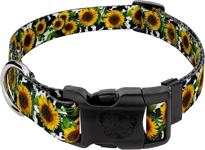 Country Brook Petz - Deluxe Dairy Fields Dog Collar - Made in The U.S.A. - Country and Western Collection Featuring Rustic Designs (1/2 Inch, 2XS)