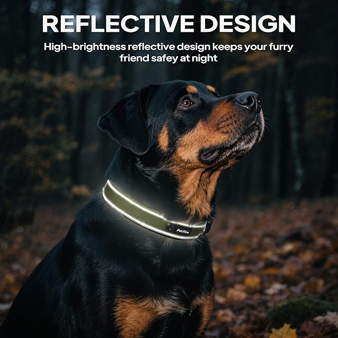 PetiFine Dog Collars for Small Dogs, Neoprene Padded and Adjustable, Reflective Wide Heavy Duty Pet Collars with Durable Metal Belt Buckle for Walking, Green, S