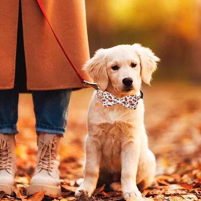 ADOGGYGO Thanksgiving Dog Collar with Bowtie, Fall Pumpkin Pet Thanksgiving Collars with Detachable Bow, Adjustable Fall Collars for Small Medium Large Dogs (Medium)