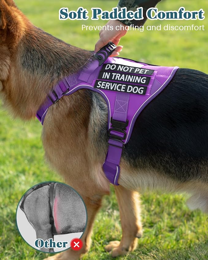 Reflective Purple Service Dog in Training Vest Harness for Medium Dogs, Adjustable Heavy Duty Padded Dog Harness, with Front Clip and Metal Buckles Do Not Pet for Training, Hiking