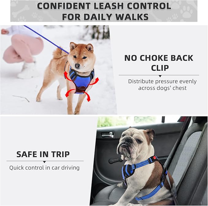 No Pull Dog Harness with A Free Heavy Duty 5ft Dog Leash, Adjustable Soft Padded Dog Vest, Reflective No-Choke Pet Oxford Vest with Easy Control Handle for Small and Large Dogs (Blue, Medium)