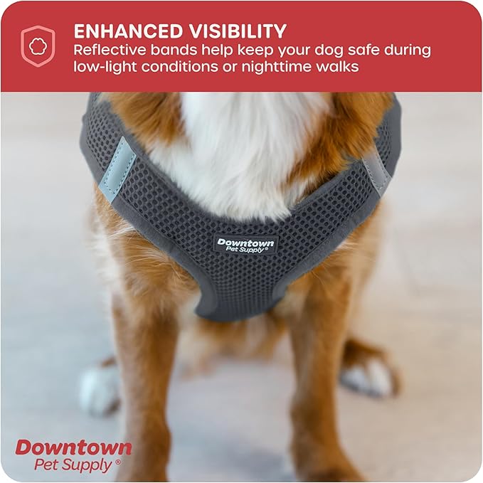 Downtown Pet Supply Step in Dog Harness for Small Dogs No Pull, X-Small, Charcoal - Adjustable Harness with Padded Mesh Fabric and Reflective Trim - Buckle Strap Harness for Dogs