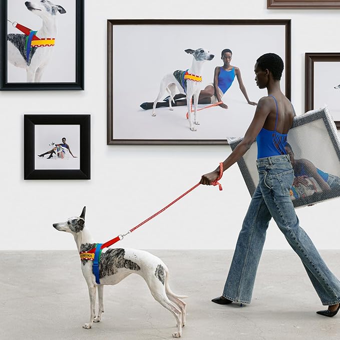 VETRESKA MoMA Dog Harness and Leash Set, No-Pull Puppy Harness for Walking and Training, Easy Walk Dog Harness for Small Medium Dogs, Adjustable, Take Control & Anti-Twist Pet Lead Combo (Red, S)