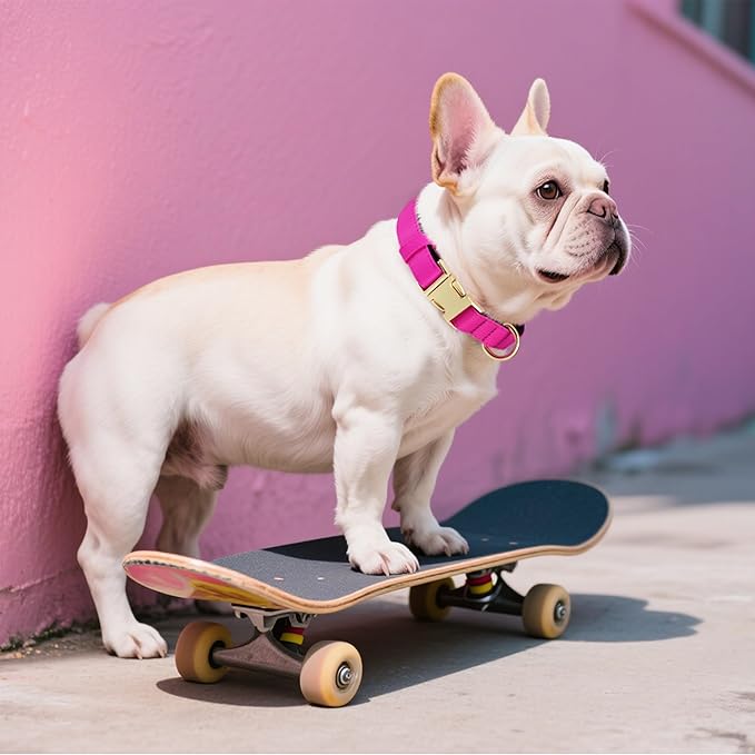 Didog Soft Padded Dog Collars for Small Dogs, Waterproof and Durable Pet Collar with Quick Release Buckle, Light and Breathable for Daily Walking,Rose Purple,S(Neck:10-15")