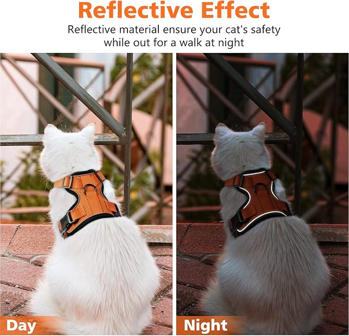 Dooradar Cat Harness and Leash Set, Escape Proof Safe Adjustable Kitten Vest Harnesses for Walking, Easy Control Soft Breathable Mesh Jacket with Reflective Strips for Cats, Orange, S