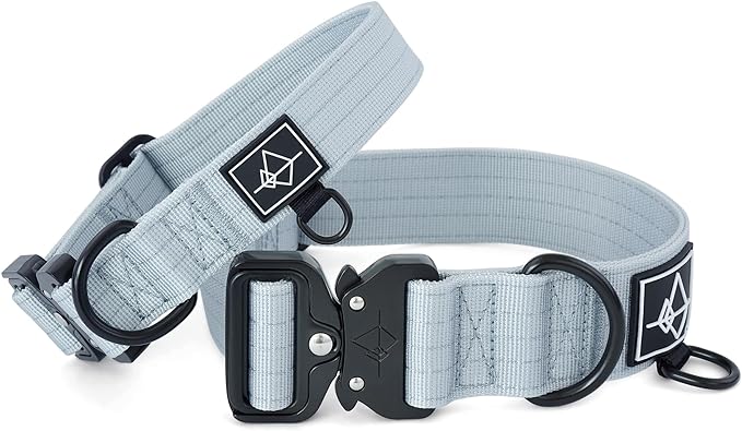 Made to ROAM Premium Dog Collar - Adjustable Heavy Duty Nylon Collar with Quick-Release Metal Buckle (Alaska Daybreak, Classic Size 2.5)