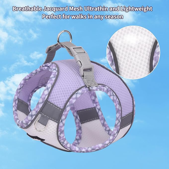 AIITLE Teacup Puppy Harness with Leash - Adjustable Soft Vest with Magic Velcro & Reflective Safety Strips, Easy-Put-On for Poodles, Pomeranians - Gym, Hiking, Travel (Purple-White, S)